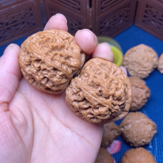 文玩核桃把件42粗筋全品