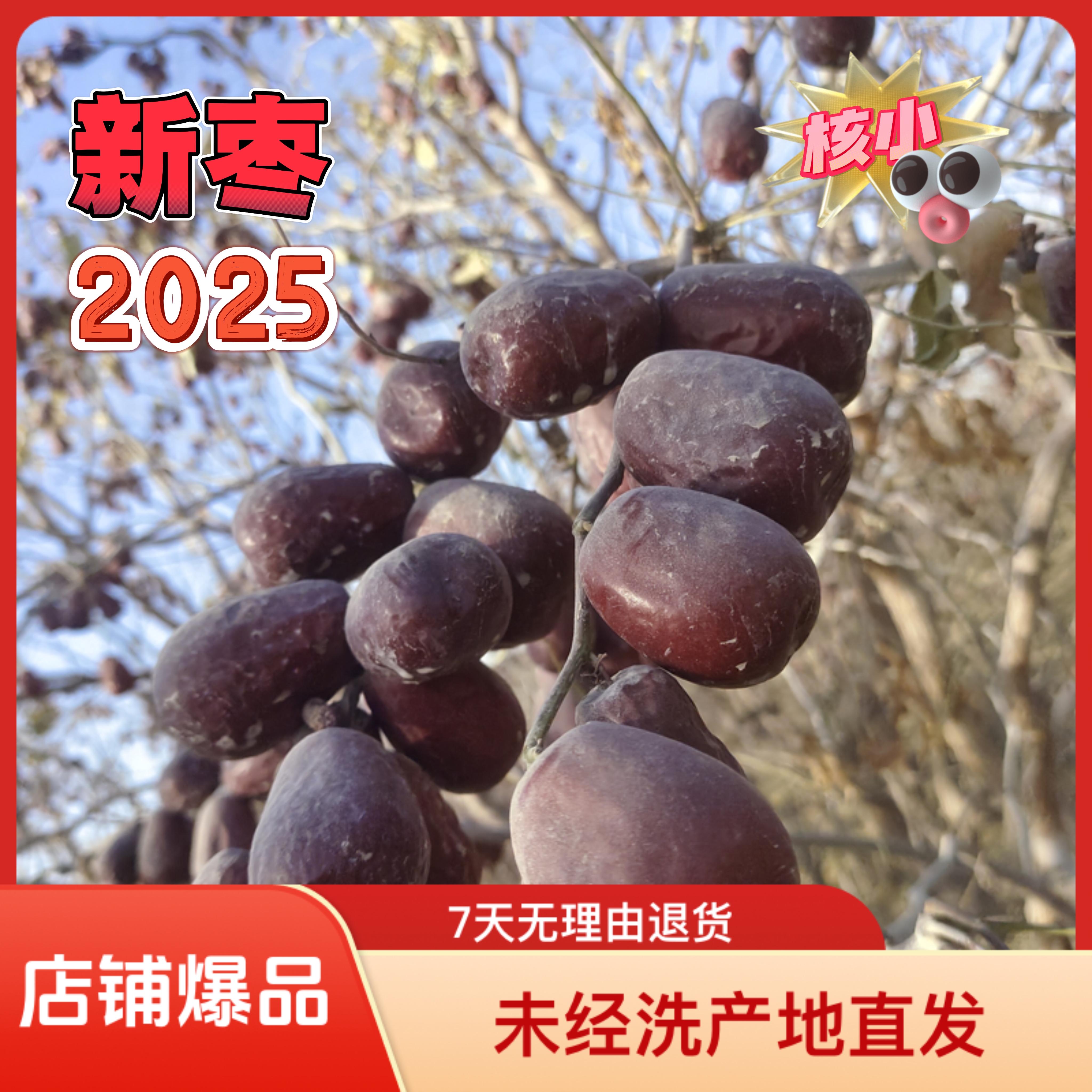 25年通货新疆和田大枣包邮10成干未清洗产地直发