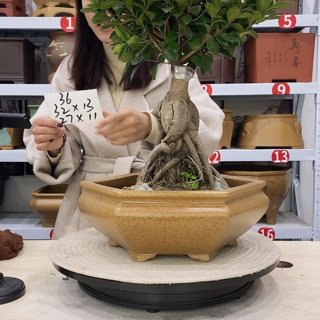 紫砂花盆紫砂花盆