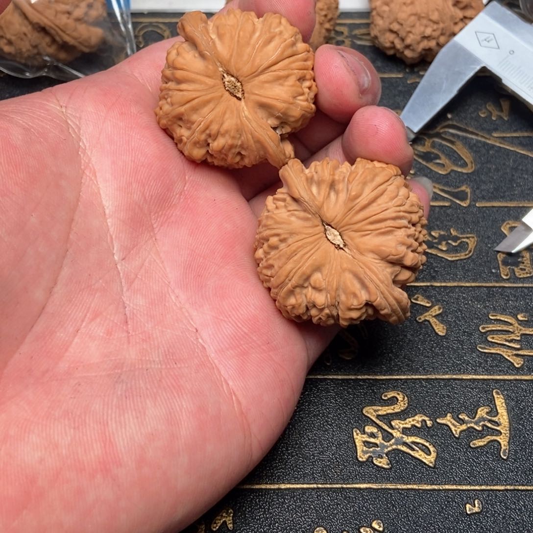 文玩核桃把件萱*白狮子