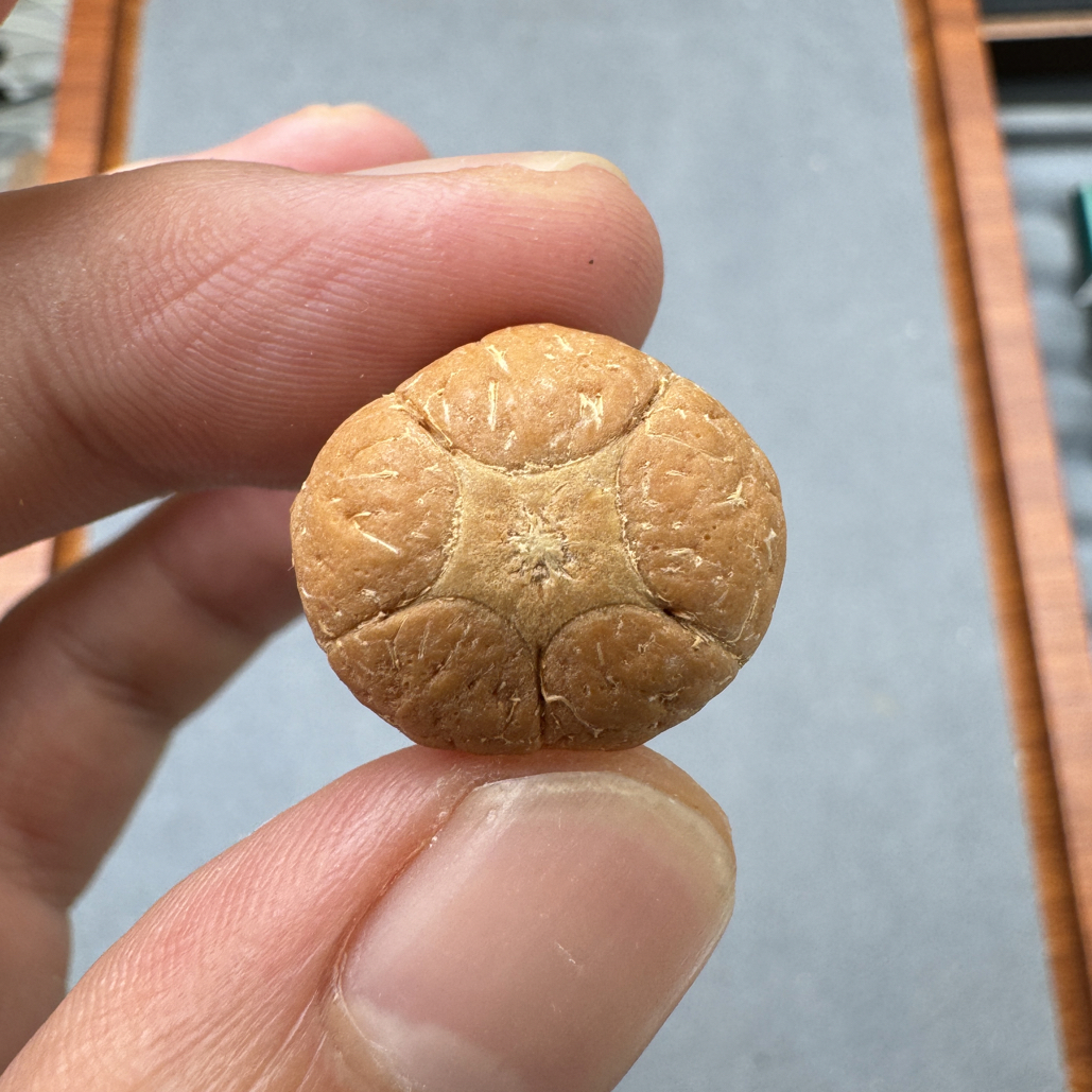 20+梅花五星上将菩提凤眼手串三通佛头，非质量问题开孔不退ck1300
