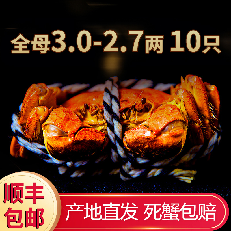 【活蟹】洪泽湖3.0-2.7两全母蟹拍6送4到手10只精品大闸蟹礼盒