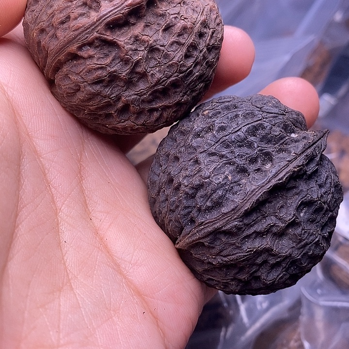 把件文玩核桃   71