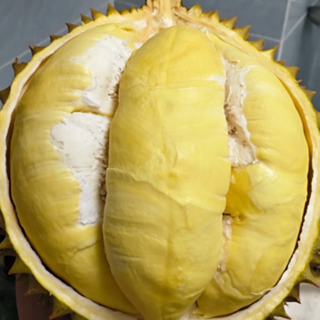 泰国树熟金枕新鲜果核小3-8斤金枕泰国