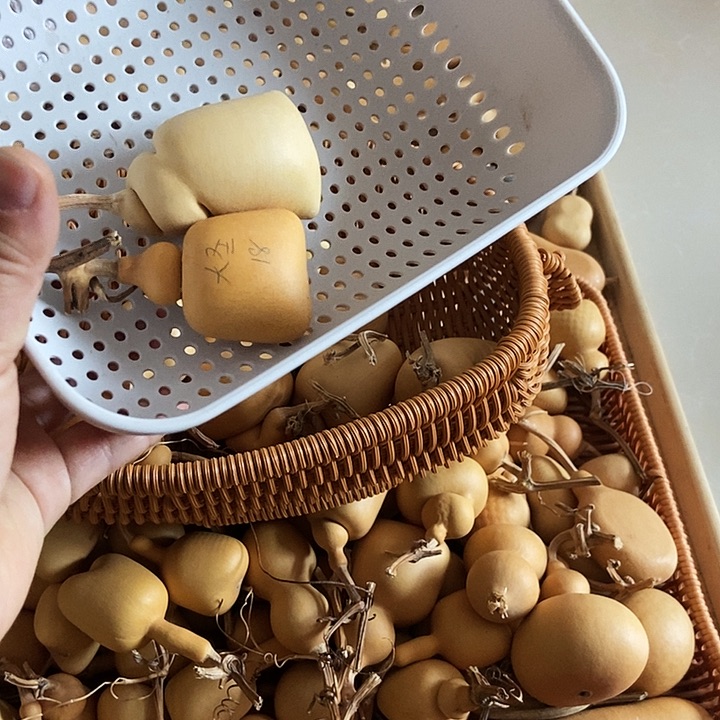 大***圣大圣大圣大圣葫芦