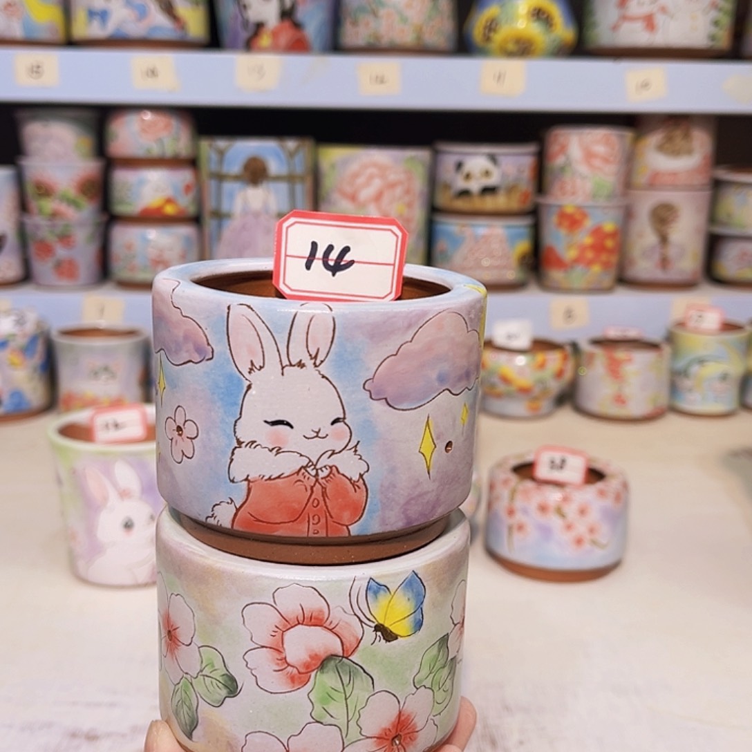 所见所得一物一拍花盆多肉植物手绘盆4