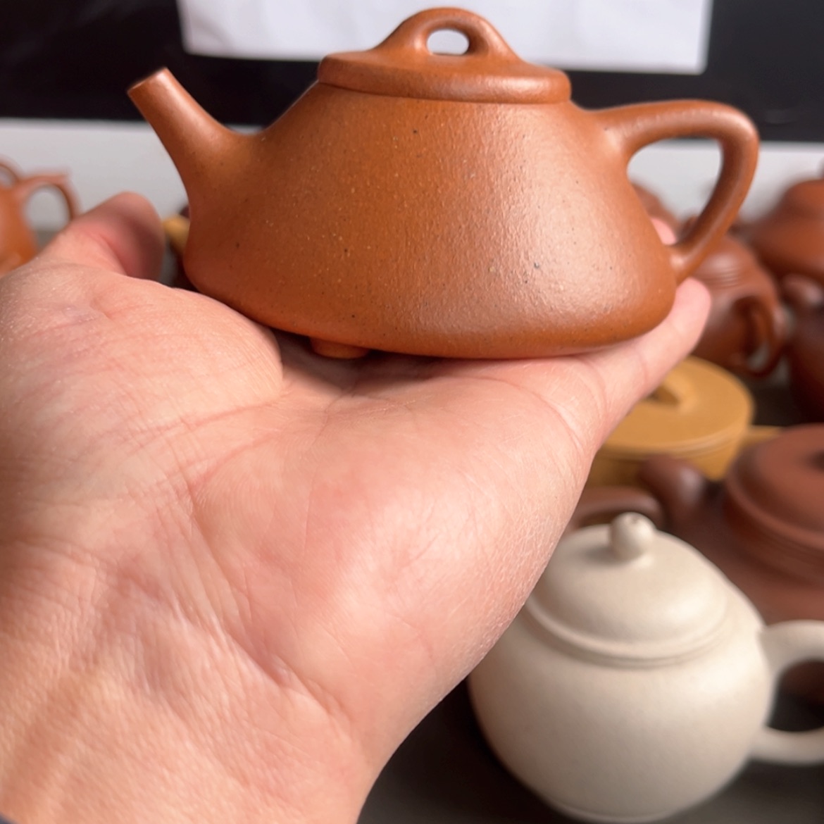 【闪购商品】壶壶壶壶壶壶壶壶