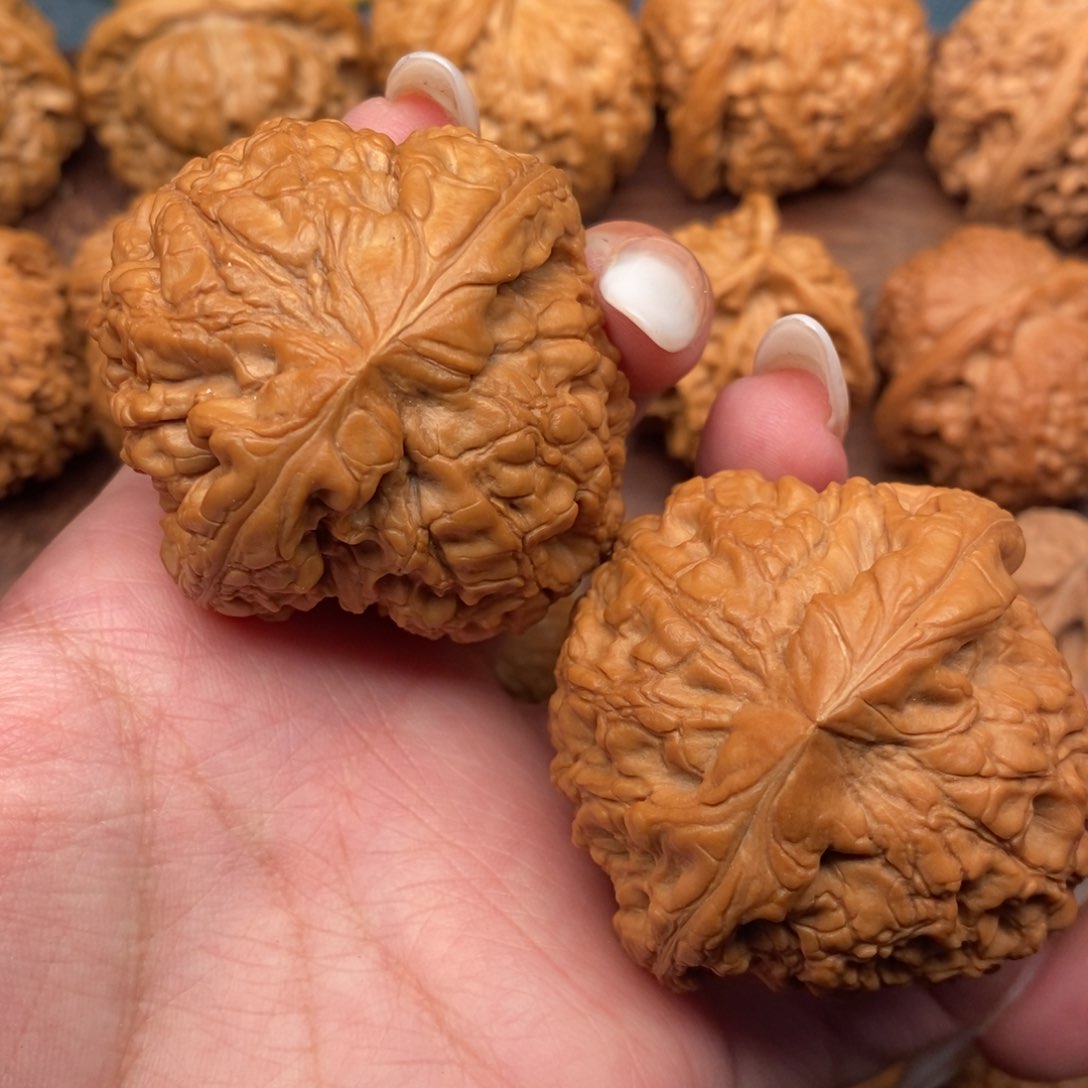 文玩核桃把件全品，毕业粗棱龙鼎48