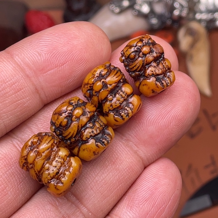 驼骨其他人工养殖