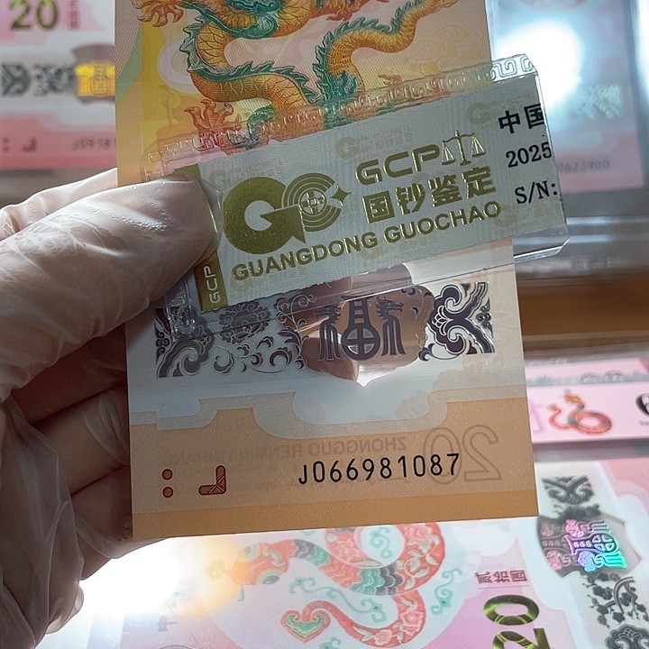 塑料066981087 龙钞单张