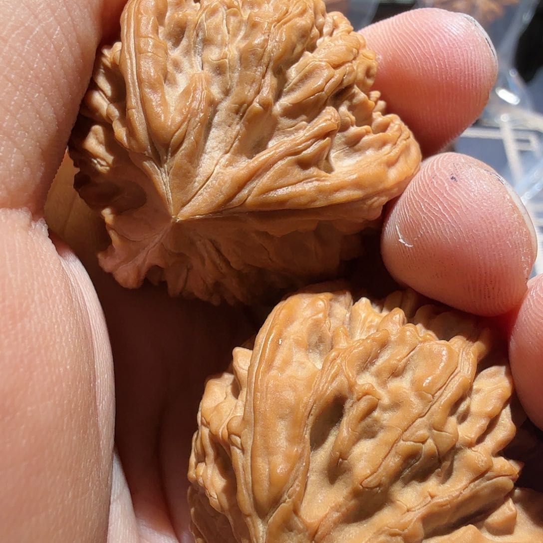 文玩核桃把件御龙