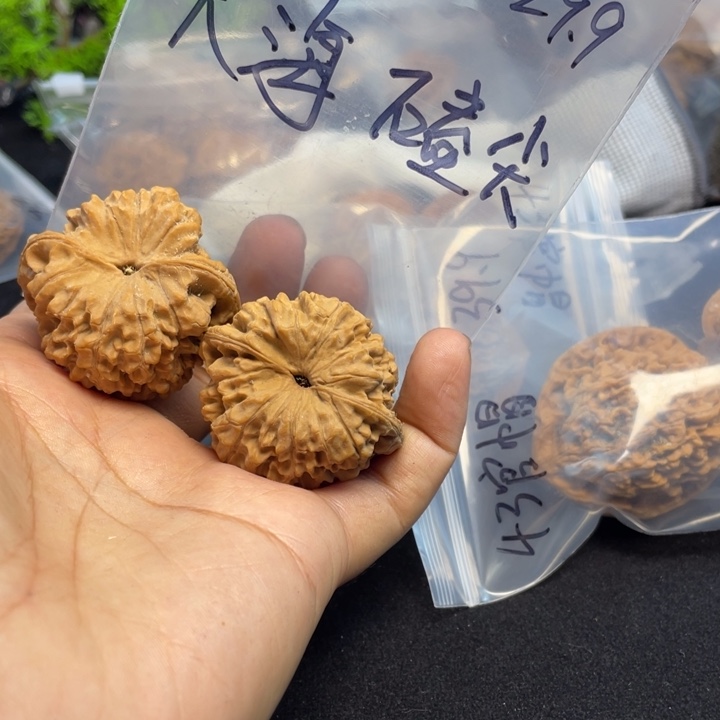 文玩核桃把件大*官帽