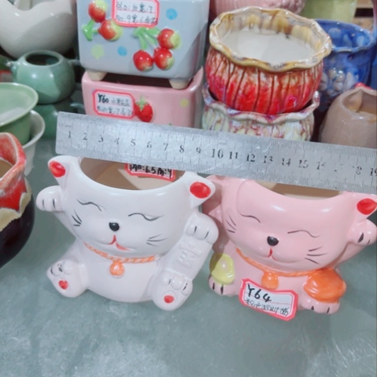 红陶11111111111111