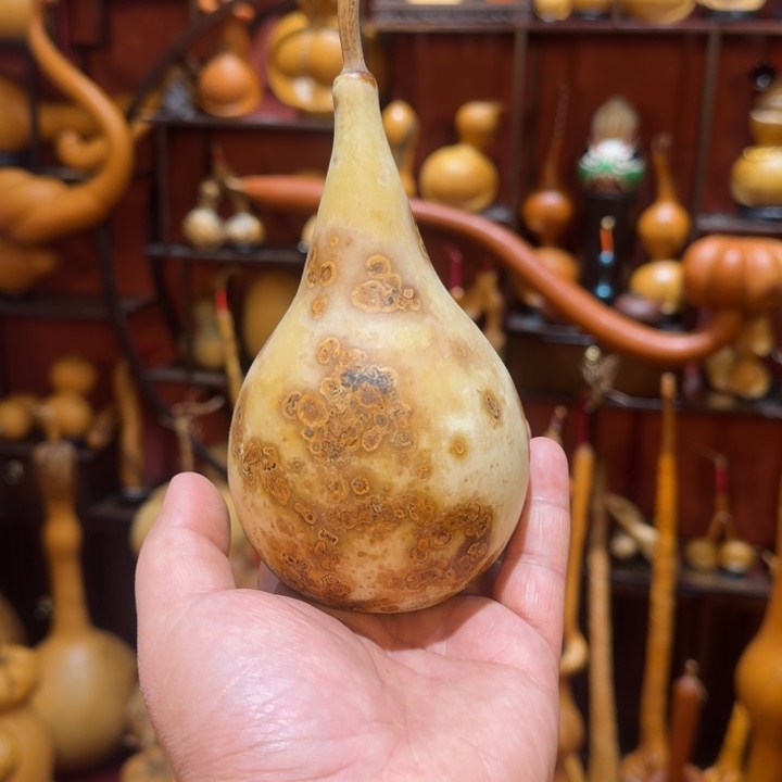 七***娃大叶紫檀（黑酸枝木类）