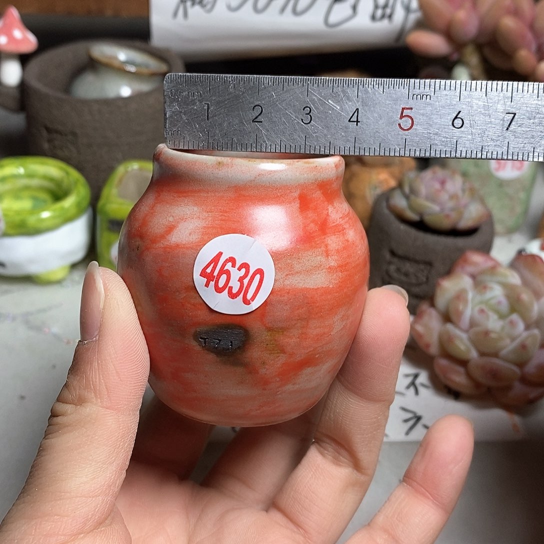 红陶拍5送一个小