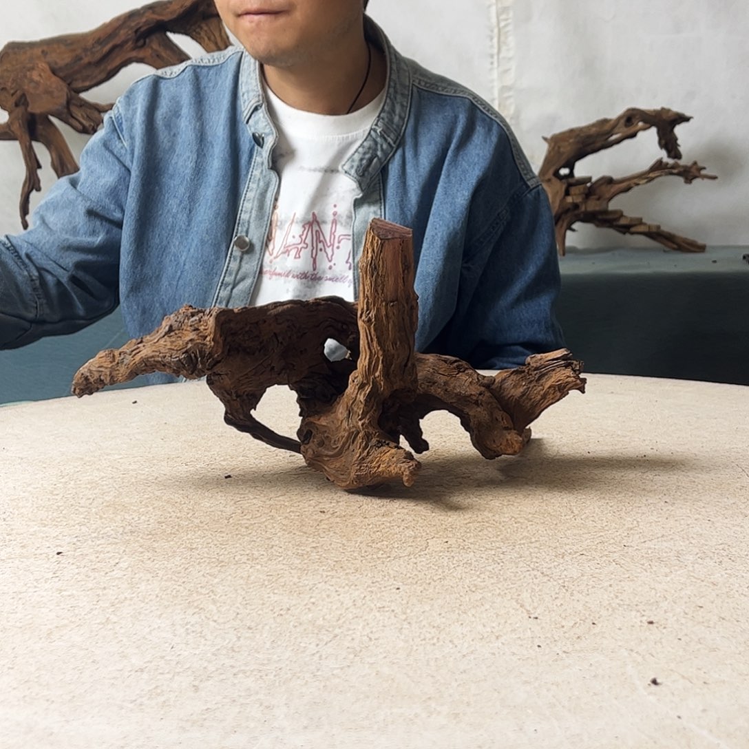 新年快乐沉木造景