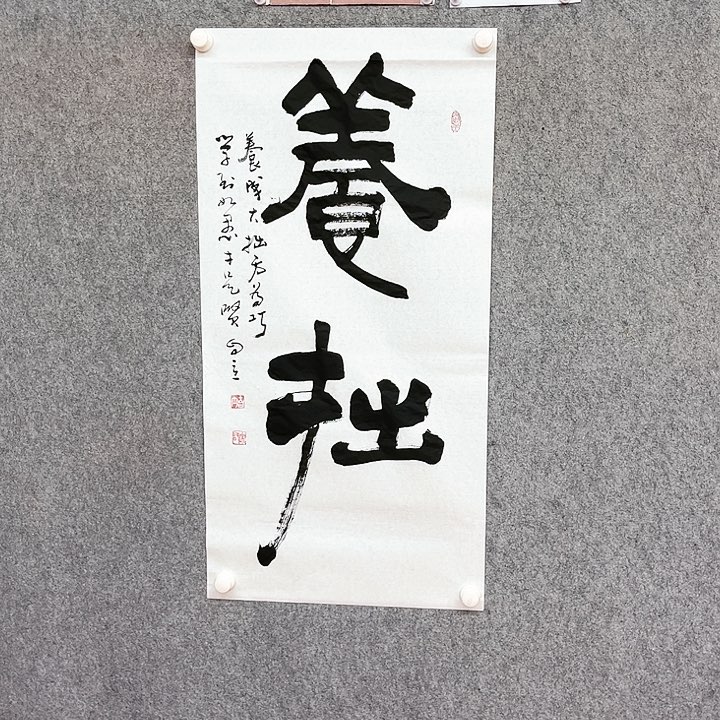 书法养拙书法作品