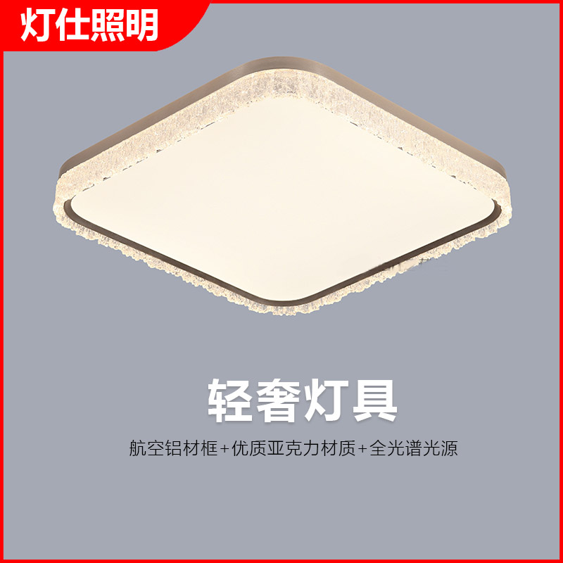 轻奢LED卧室餐厅卧室烤漆书房家用全光谱光源吸顶灯亚克力简约灯