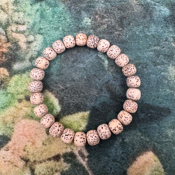 星月菩提单圈TP-2313