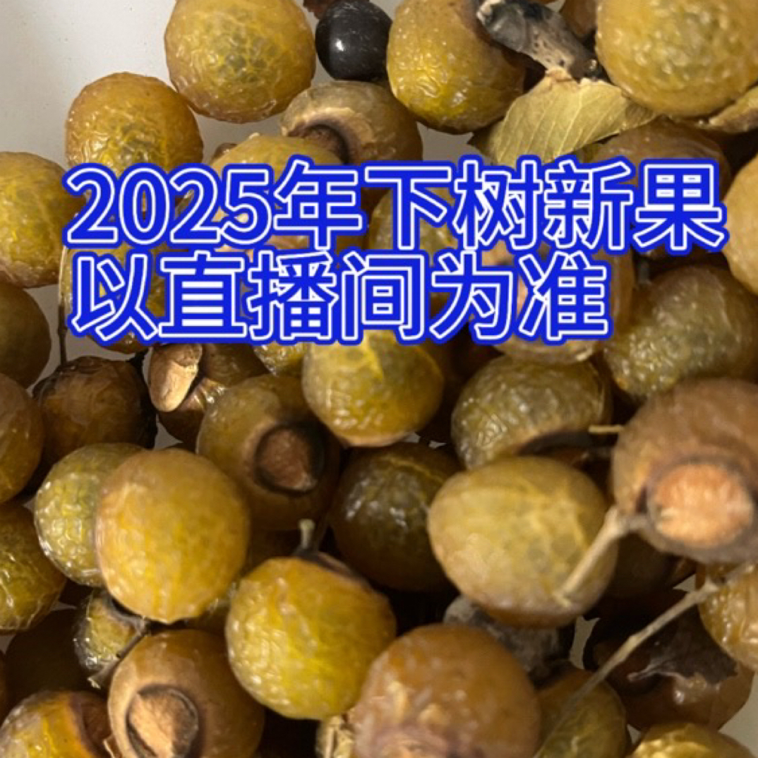 直播间下单福利款无患子菩提全果同树散籽（以直播间为准）居家饰品