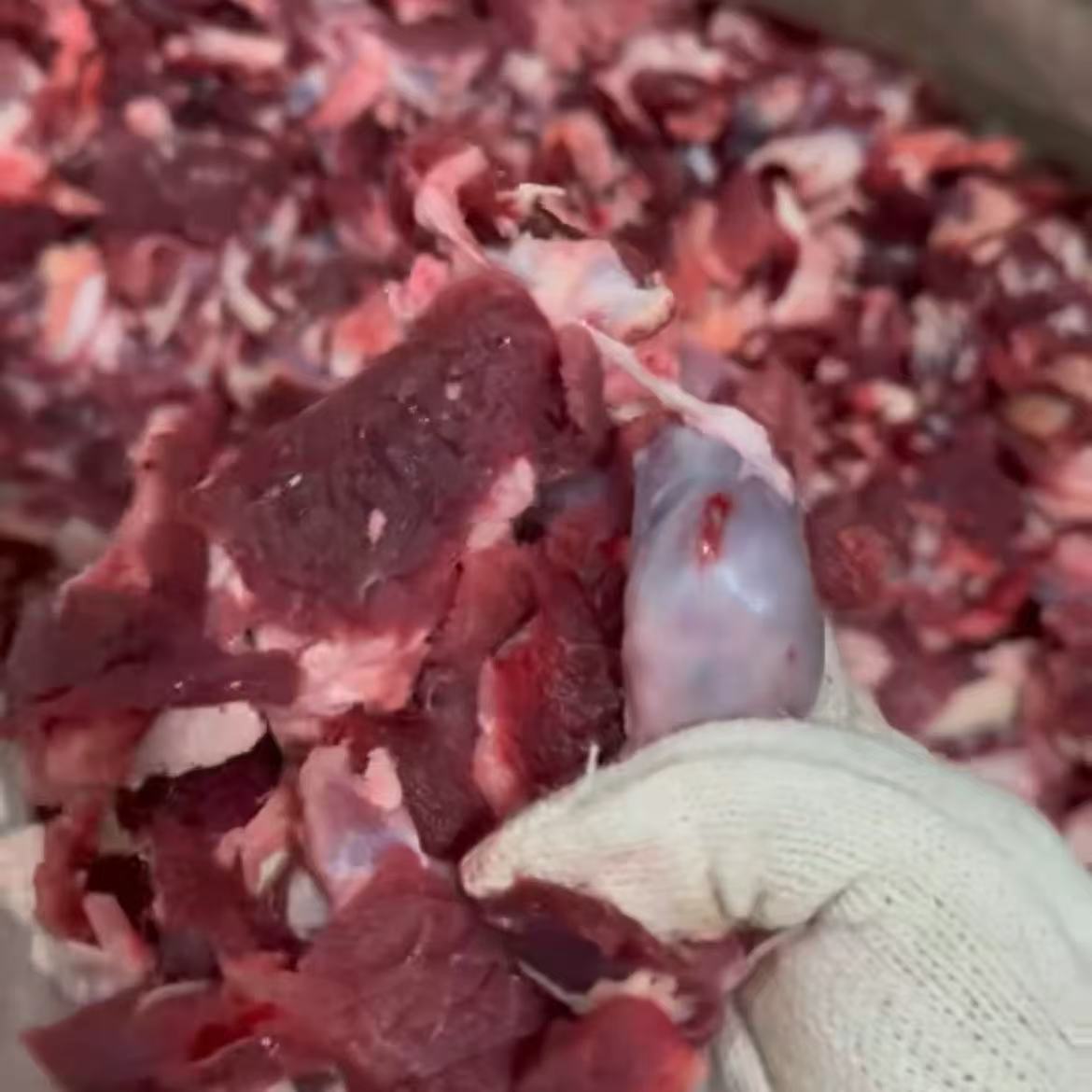 清真本地黄牛剔骨牛碎肉