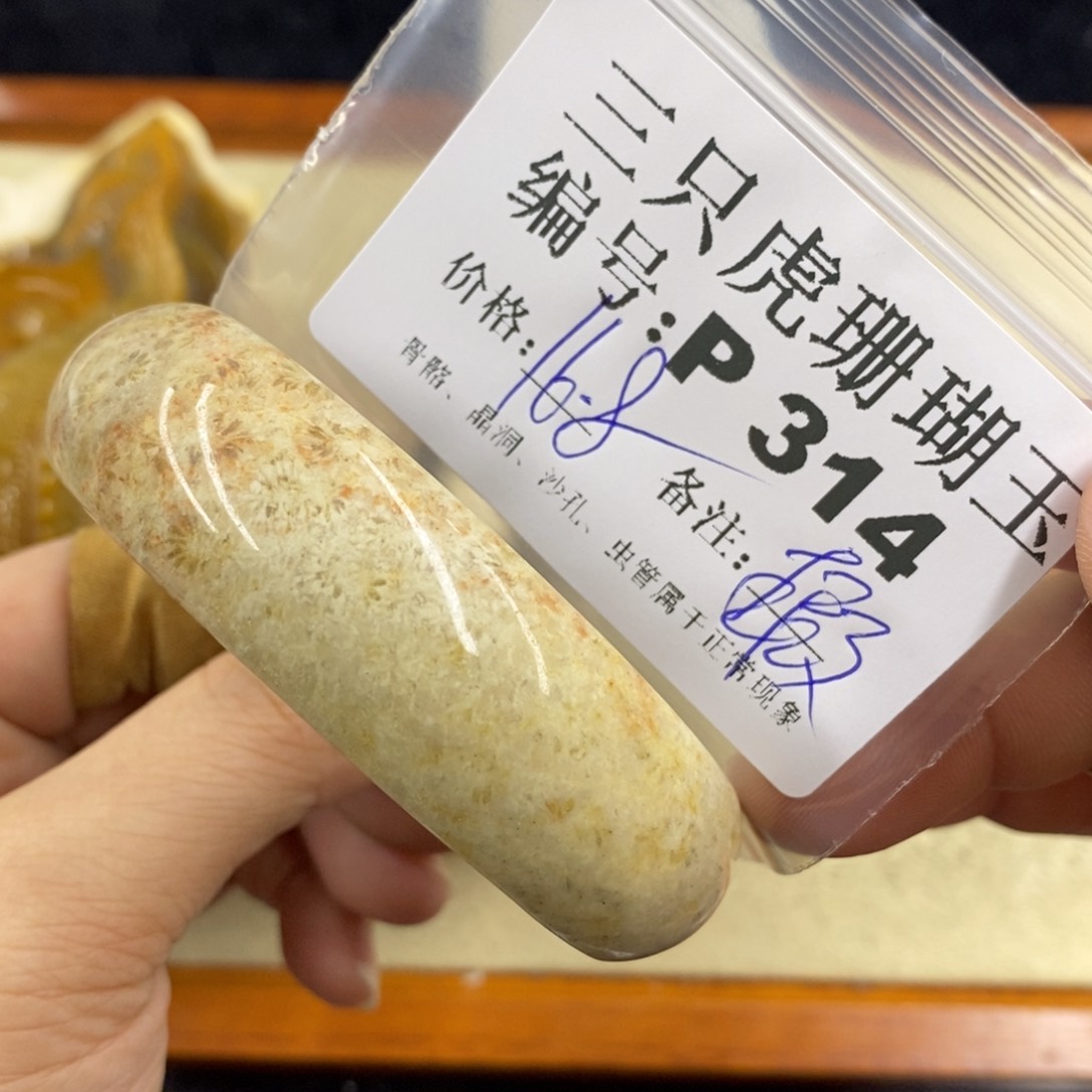 硅化珊瑚（珊瑚玉）1未镶嵌j**e