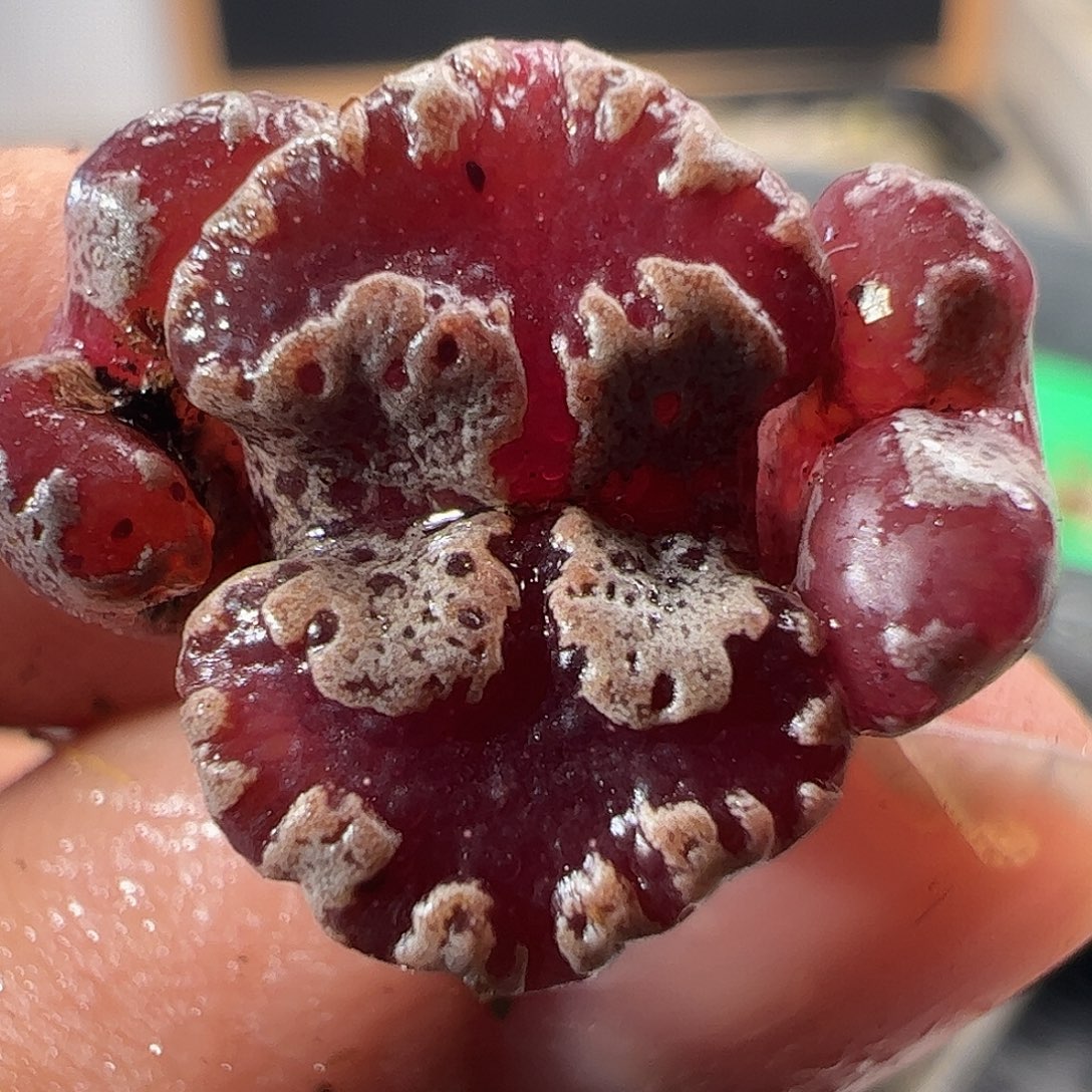 一物一拍。        660