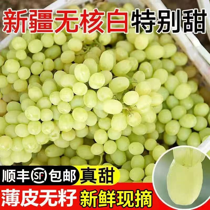 【顺丰次日达】5斤更划算现货新疆火焰山吐鲁番无籽无核白葡萄5斤装新疆维吾尔自治区