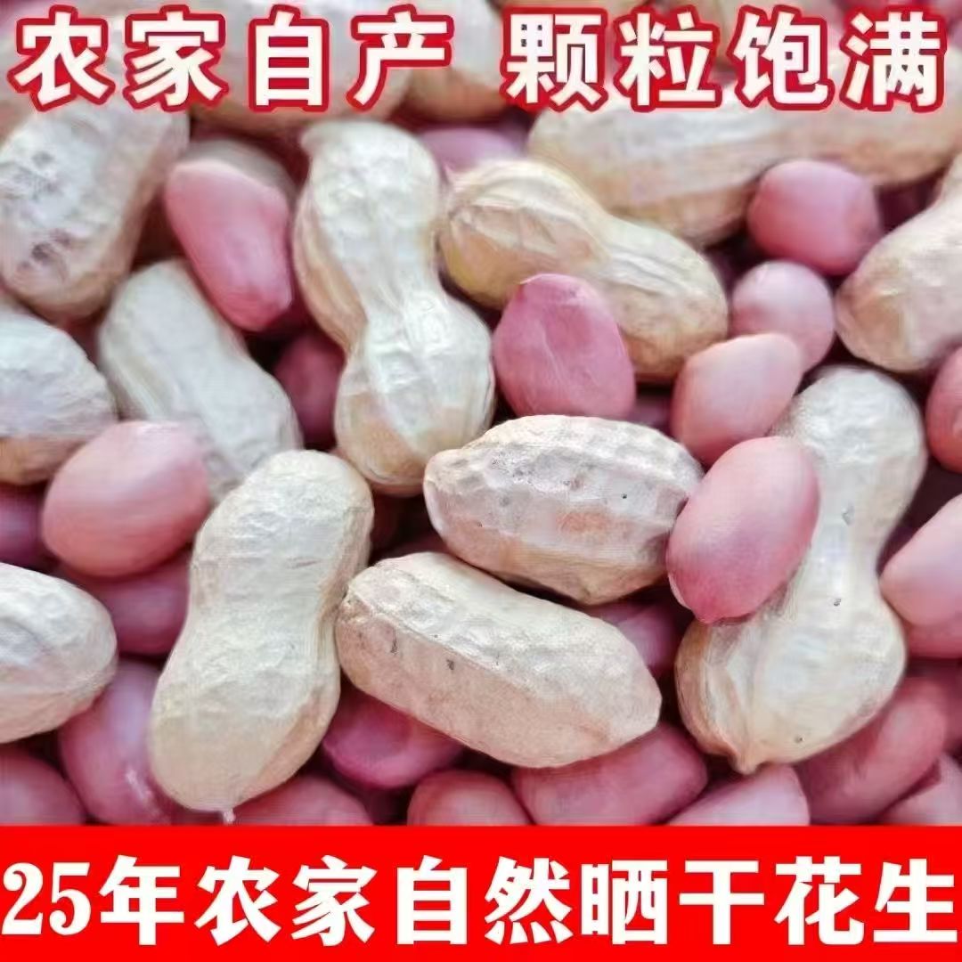 2025年新带壳白沙干花生5斤3斤