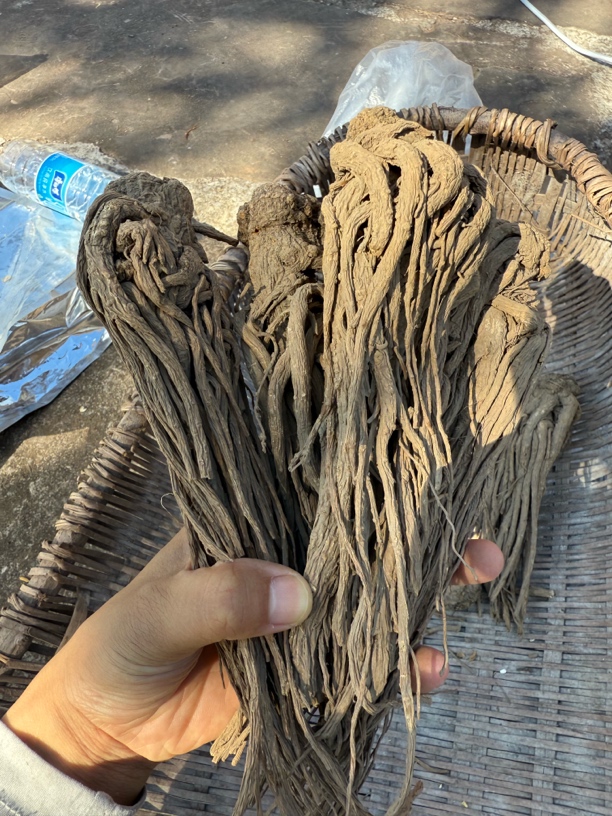 正宗无硫整条当归干货可煲汤泡水