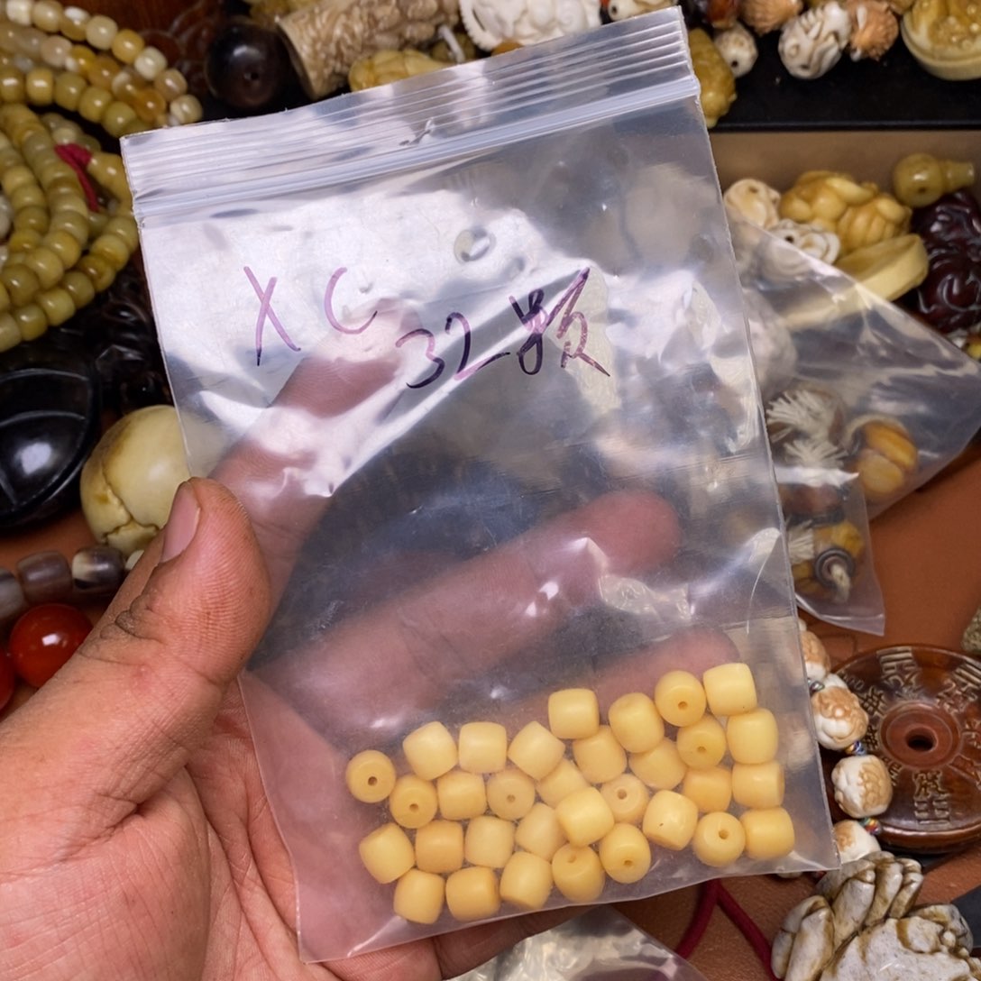 其他驼骨人工样子