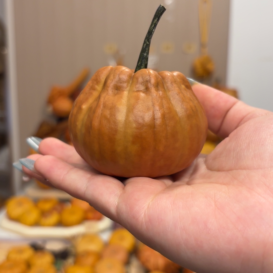 墨西哥葫芦圆圆南瓜