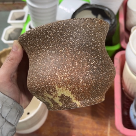 ［所有订单凑满15明天发］12×10