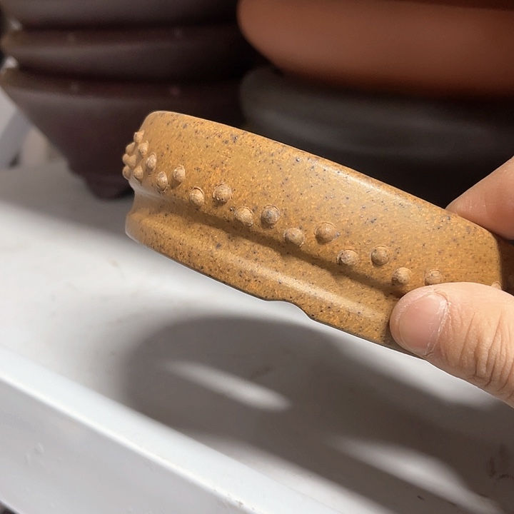 紫砂花盆这个世界的人都