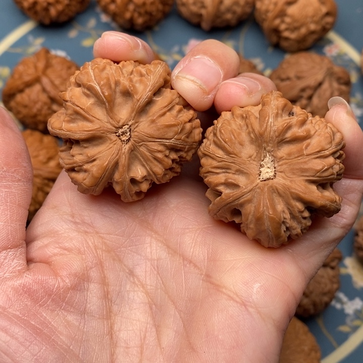 文玩核桃把件快****P三棱