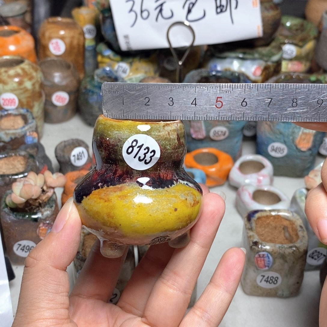 拍5送一个小礼物
