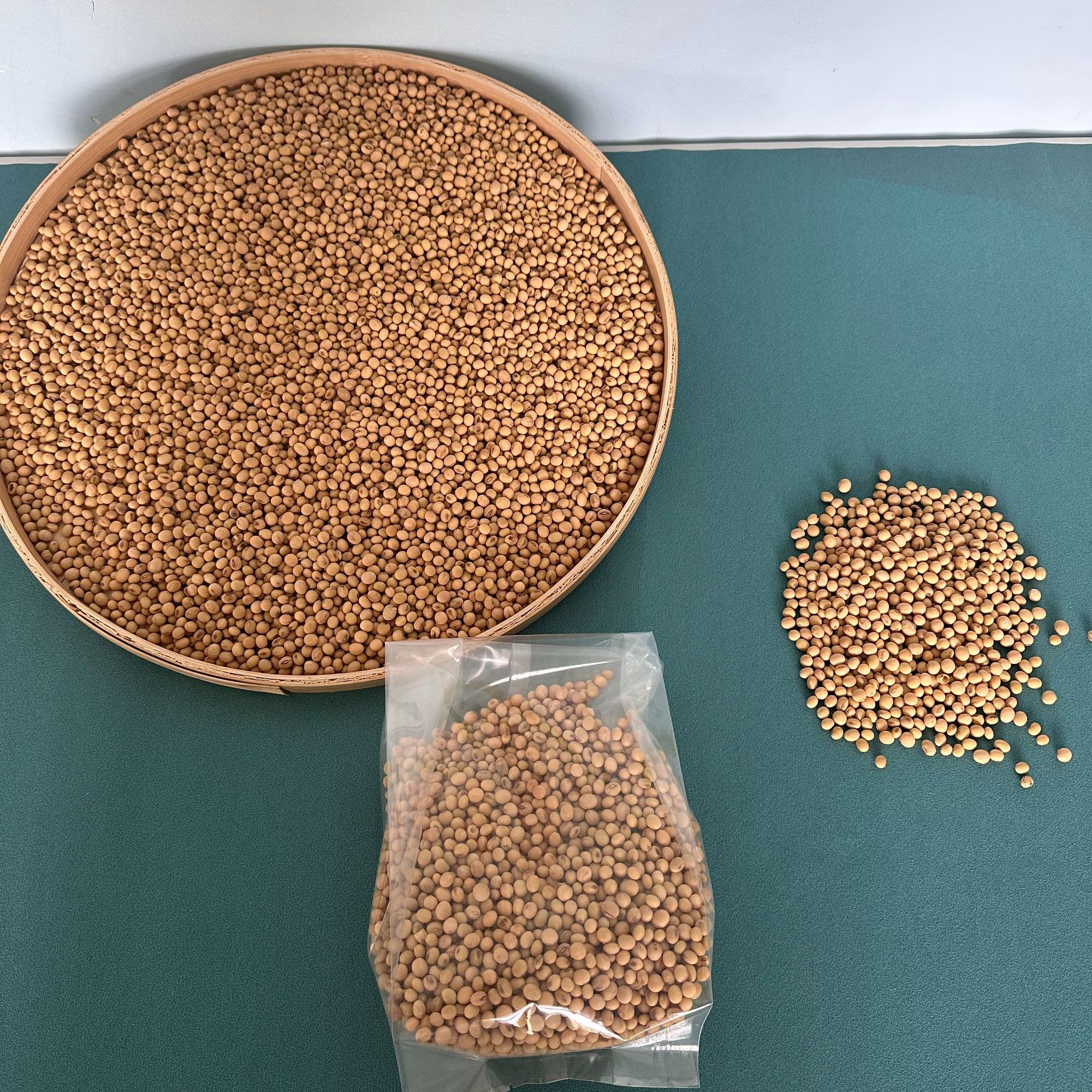 四川简阳农云村敏书记助农 农户自己种的黄豆