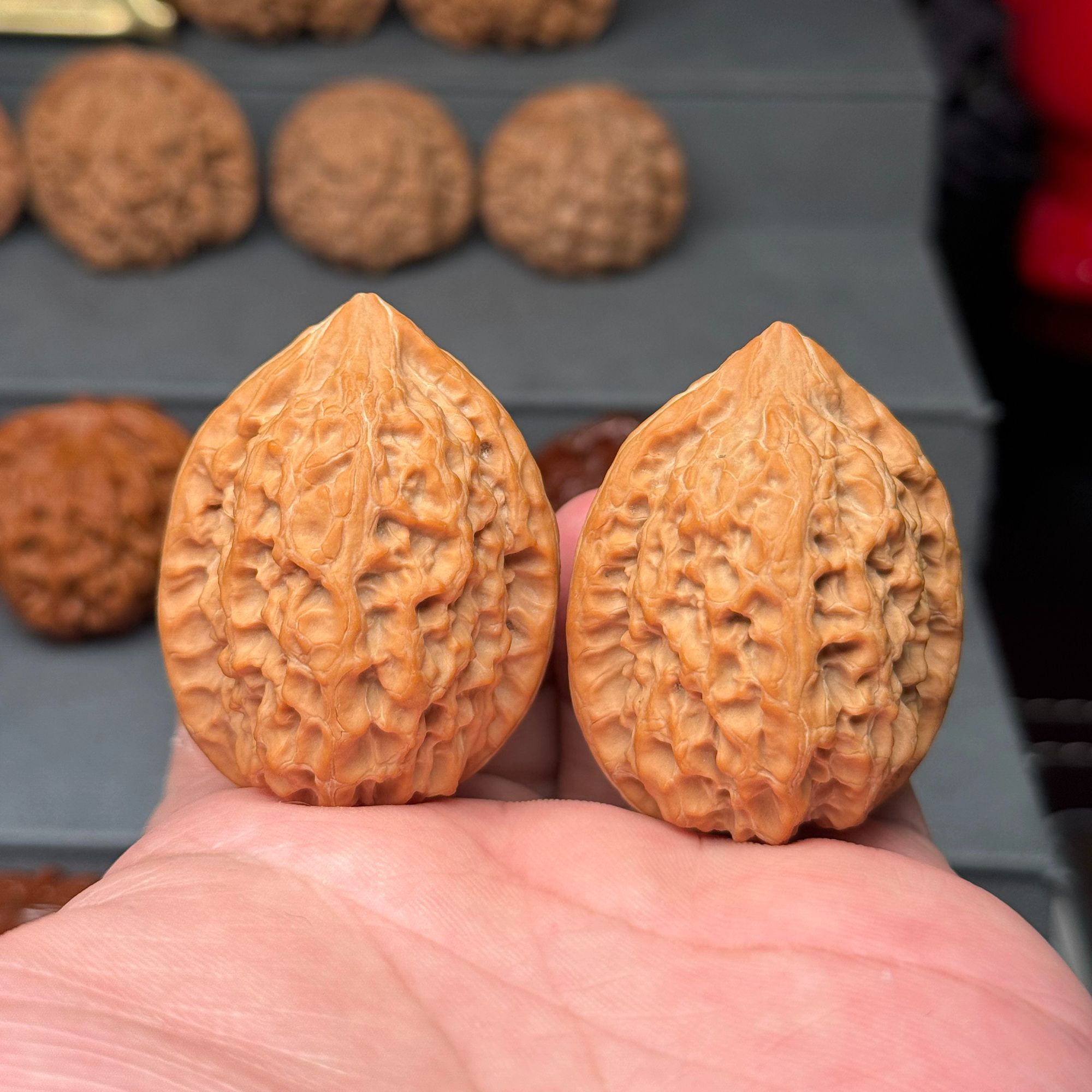 文玩核桃沈阳鸡心