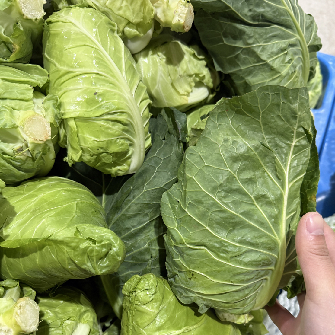 （小林哥专属）正宗高原农家自种牛心包