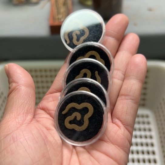 紫砂我888888888888888