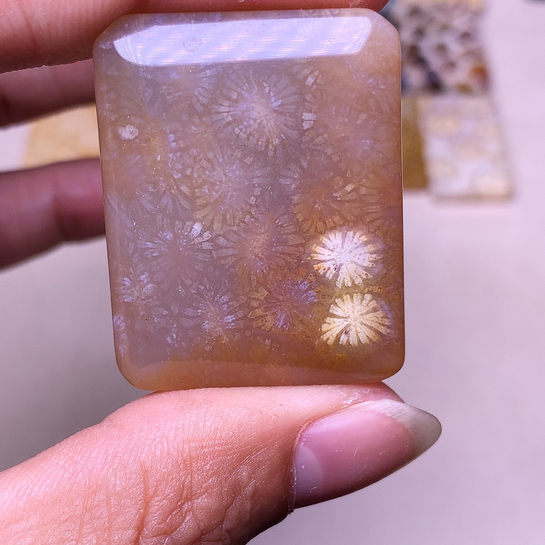 容***容硅化玉合金珊瑚玉