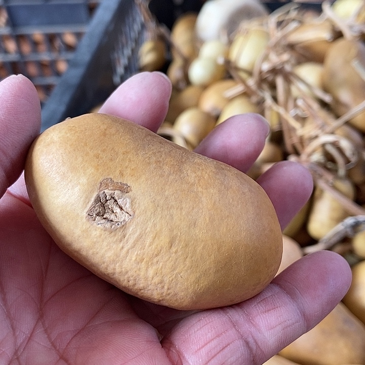 达***玩hdhfbsbbdjdjejed