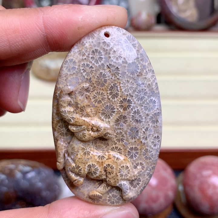 硅化珊瑚（珊瑚玉）未镶嵌颈饰