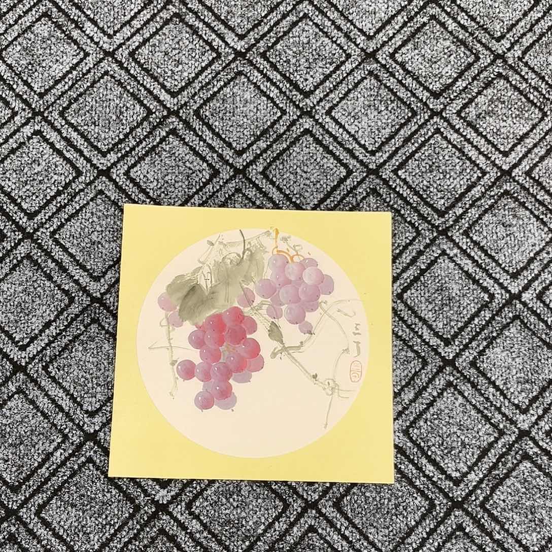 国画三丁老师33*33花鸟尹