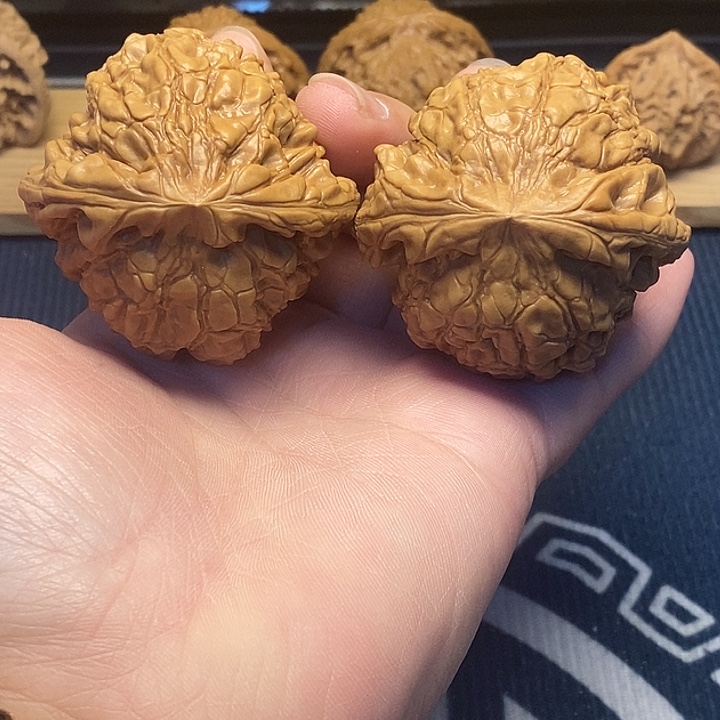 核桃52全品龙鼎福利