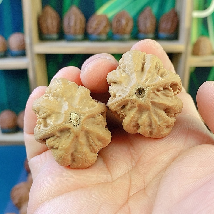 吊坠文玩核桃老树金钱底