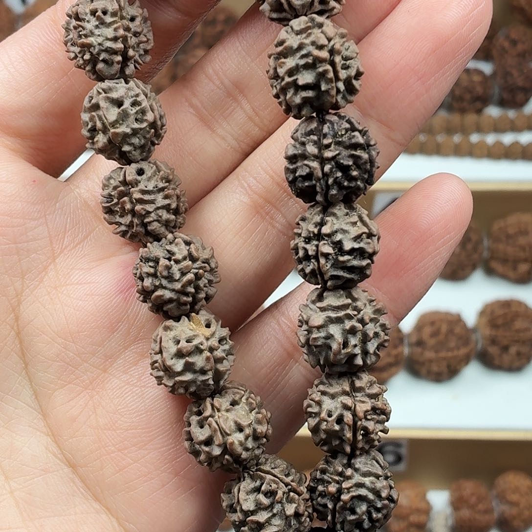 手串金刚菩提精品小野籽