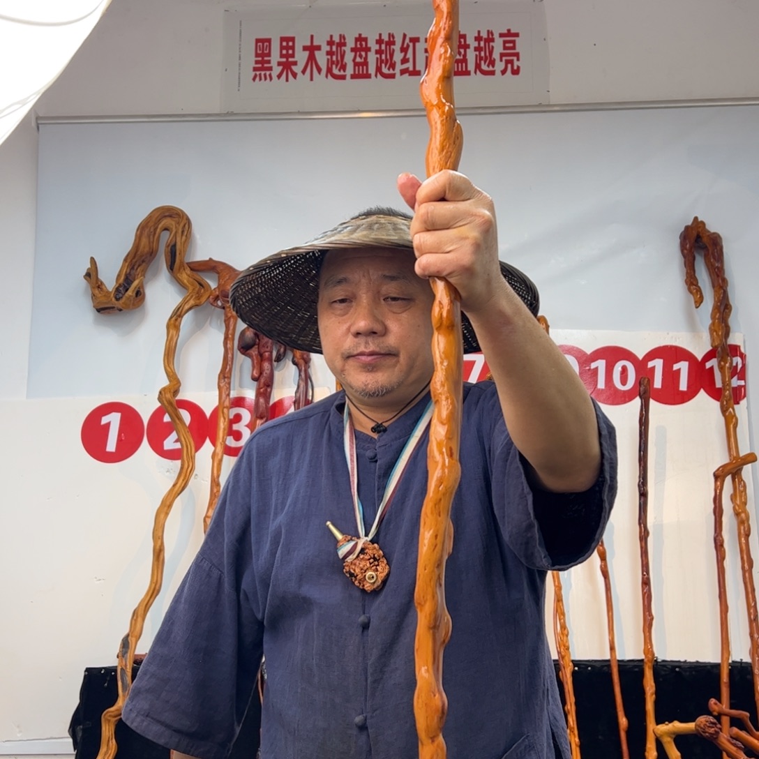 宋****黑果木其他黑果木309