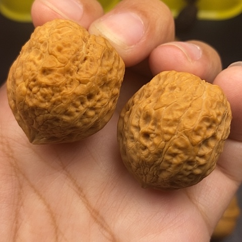 文玩核桃把件35尺蛇皮元宝