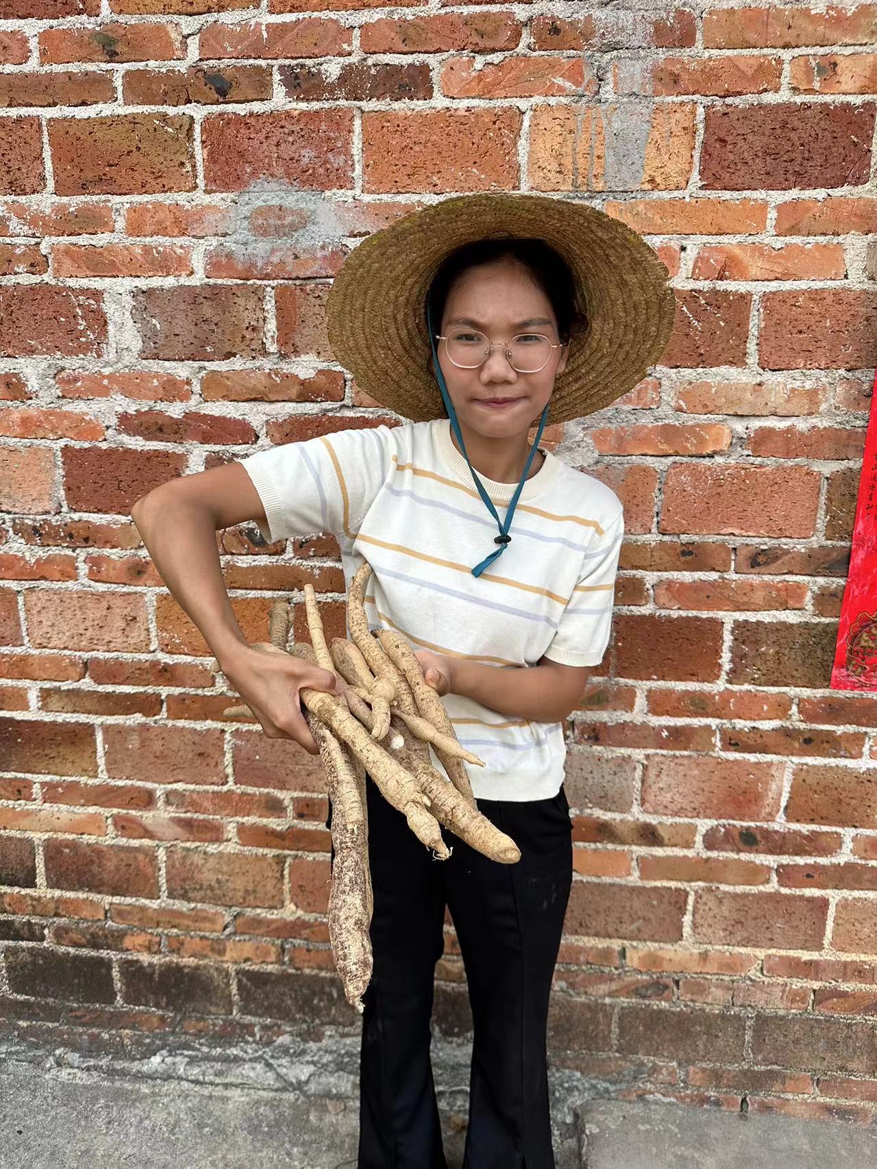 刚下山的野生甘草牛（牛大力）